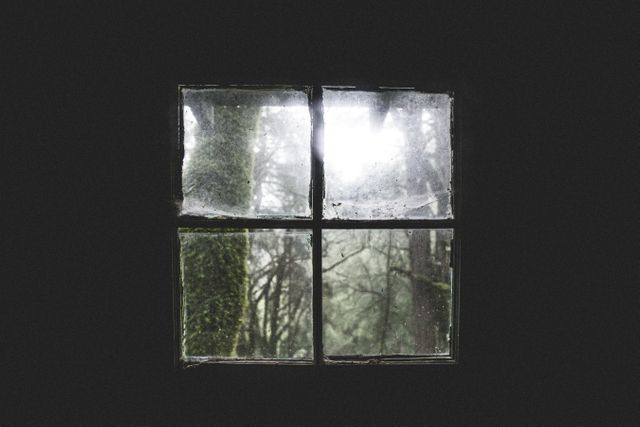 Moody old window with cracked and dusty panes offering a melancholic view of a misty forest. This mysterious, nostalgic image can be used in articles or blogs about themes such as introspection, emotional states, abandoned places, or the eerie beauty of nature. Ideal for websites focused on rustic decor, dark mood photography, or backgrounds for storytelling.