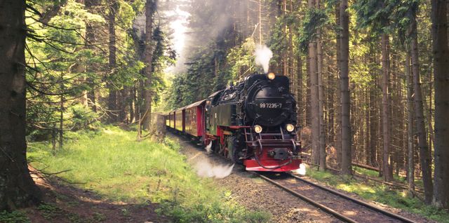 Vintage steam train traveling through lush green forest, perfect for showcasing travel, nature, and adventure themes. Ideal for blogs, travel agencies, tourism campaigns, posters, and eco-friendly transportation articles.