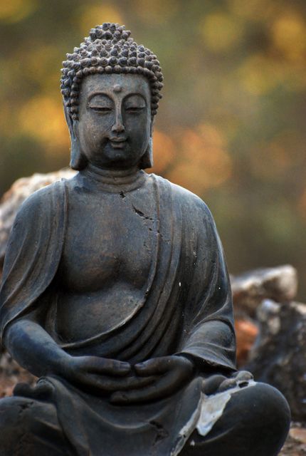The image shows a serene Buddha statue in a meditation pose with a blurred nature background. This would work well for themes related to spirituality, mindfulness, inner peace, and meditation. It can also be used in articles about Buddhism, as well as in wellness and relaxation contexts.
