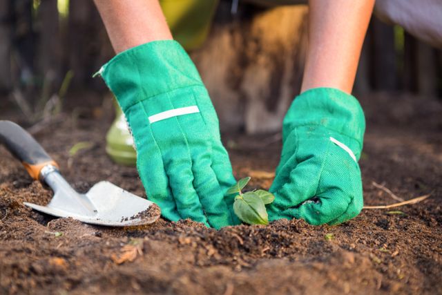 This image captures a close-up view of a gardener's hands wearing green gloves while planting a seedling in the soil. Ideal for use in articles or advertisements related to gardening, horticulture, environmental sustainability, and eco-friendly practices. Perfect for illustrating concepts of growth, nature, and outdoor activities.