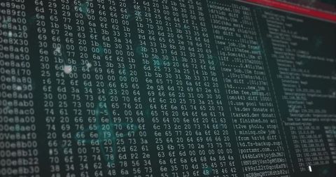 Hex dump terminal showing forensic data analysis, network diagnostics and code examination