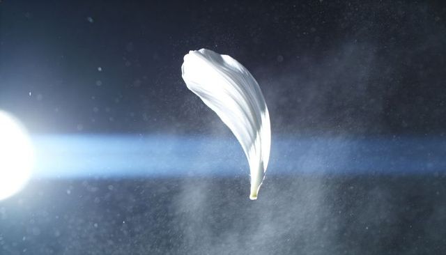 White flower petal drifting through backlit haze with blue light beam