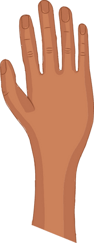 Transparent hand gesture as vector art illustrating anatomy