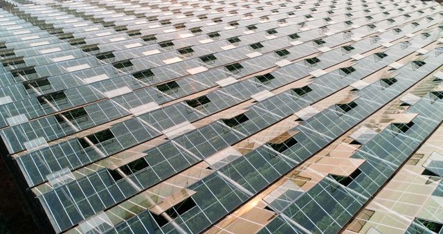 Expansive Solar Panel Array Capturing Renewable Energy - Download Free Stock Images Pikwizard.com