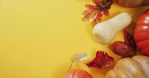 Autumn harvest flatlay showcasing pumpkins, butternut squash and maple leaves on yellow
