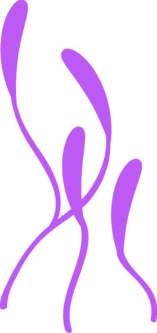 abstract lavender ribbons floating on transparent background - Download Free Stock Videos Pikwizard.com