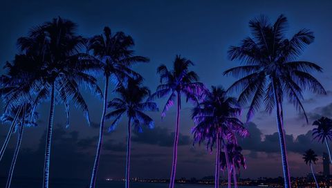 Neon-Lit Palm Trees Glowing Along Coastal Promenade at Twilight with City Skyline Lights