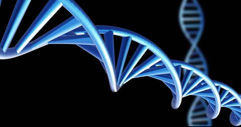 Futuristic Spinning DNA Strands on Black Background - Download Free Stock Images Pikwizard.com