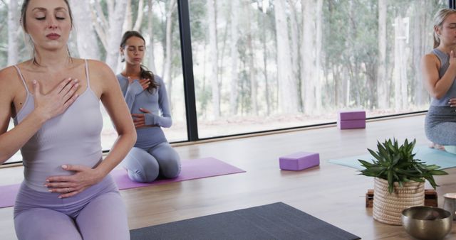 Group of Women Practicing Mindful Meditation in Light-filled Room - Download Free Stock Images Pikwizard.com