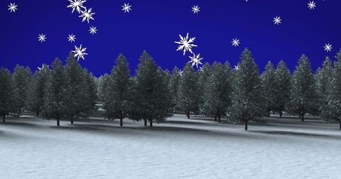 Winter Wonderland with Snowflakes over Pine Forest