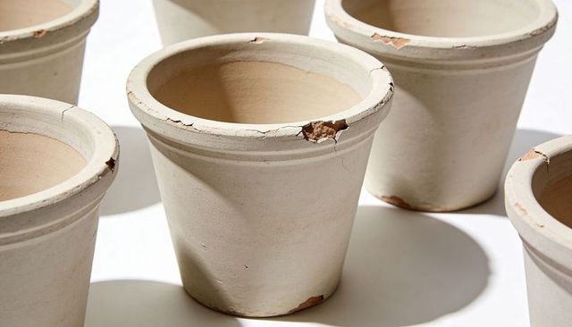 Cream terracotta planter showing chipped rim and fine cracks, matte beige ceramic pot