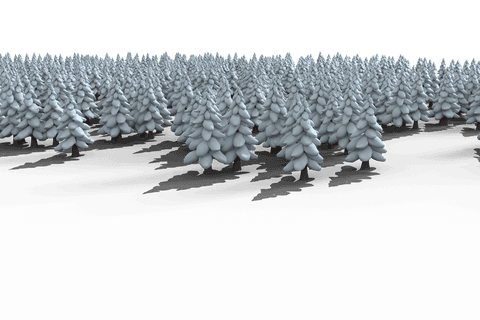 Transparent Snow-Covered Forest in Winter