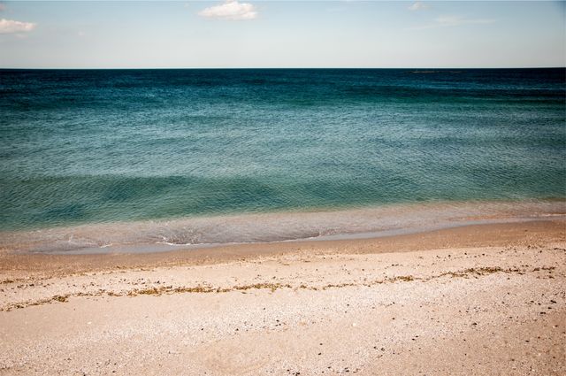 Tranquil Seaside Shoreline with Clear Blue Water - Download Free Stock Photos Pikwizard.com