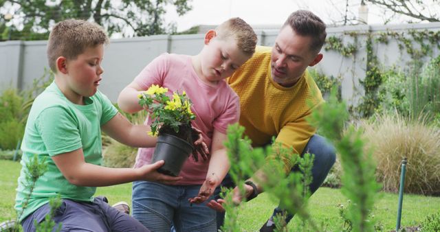 Father and Sons Planting Flowers in Garden - Download Free Stock Images Pikwizard.com