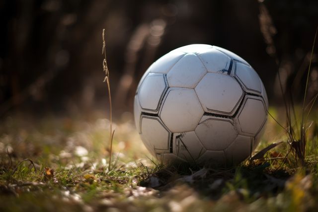 This photo shows a close-up of an old soccer ball in grass with sunlight illuminating the scene. Great for projects related to sports, outdoor activities, and nostalgic themes. Ideal for websites, blogs, and advertisements focusing on sports teams, gear, nature, and play.