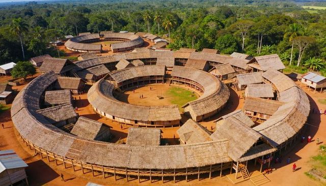 Aerial view showing concentric thatch rings on stilts in tropical rainforest village