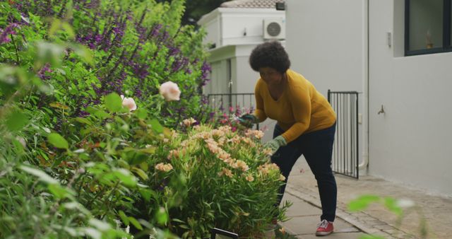 Image of happy plus size african american woman taking care of garden plants - Download Free Stock Photos Pikwizard.com
