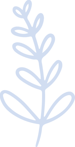 minimalist botanical branch illustration on transparent background - Download Free Stock Videos Pikwizard.com
