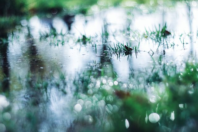 This photo captures a closeup view of a rainy day where fresh green grass reflects in a puddle. Ideal for representing nature, freshness, or rain themes in blogs, articles, or advertisements promoting outdoor gear or weather-related products.