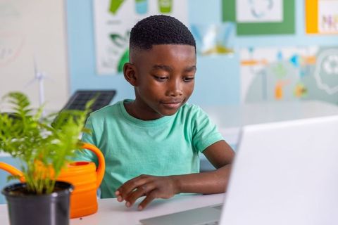 Young african american child using laptop in eco classroom with plant and watering can