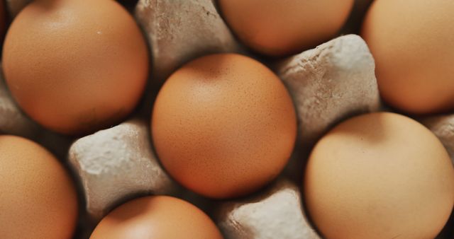 Brown eggs placed in a carton, viewed at close range. Ideal for food industry illustrations, healthy eating promotions, cookbooks, and nutritional content. Perfect for emphasizing freshness and organic choices in meal preparations and dietary planning.