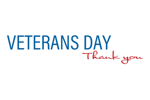 Veterans Day Thank You Text Transparent Background Design - Download Free Stock Videos Pikwizard.com