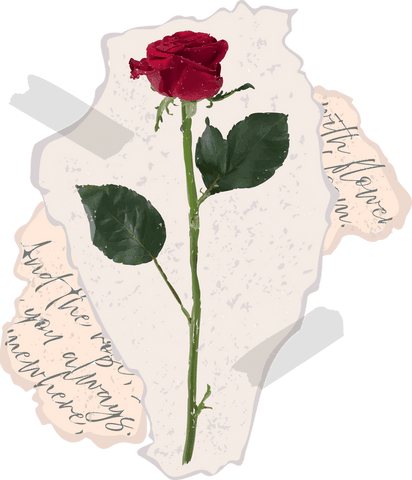 Floating Red Rose Collage on Transparent Background - Download Free Stock Videos Pikwizard.com