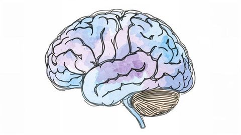 Colorful artistic brain illustration with watercolor texture