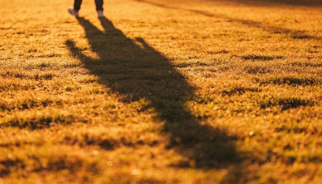 Silhouette stretching across golden grass at sunset casting long tranquil shadow for outdoors