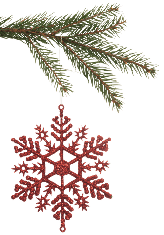 transparent red christmas ornament hanging on pine branch - Download Free Stock Videos Pikwizard.com