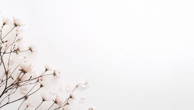Delicate pale pink blossom branches on white minimal background with generous copy space