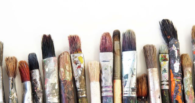 Close-up of various paint brushes on white background - Download Free Stock Photos Pikwizard.com