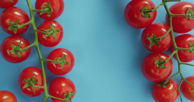 Branches of organic red cherry tomatoes arranged on a vibrant blue backdrop, showcasing freshness and bright coloration. Ideal for promoting healthy eating, food blogs, recipe websites, kitchen décor, grocery marketing, or garden and farm publications.