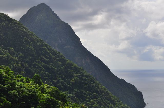 Dense, green mountains with rich foliage, overlooking a serene ocean, under an overcast sky. Can be used for environmental themes, travel promotions, and nature preservation campaigns.