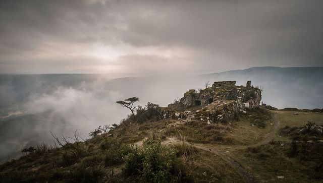 Misty cliffside ruins overlooking fog-filled valley with windswept tree and winding trail