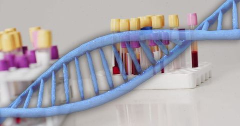 Double helix overlays blood sample vacutainer tubes in lab