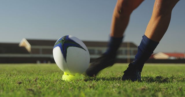 Rugby player kicking ball during training session on grass field. Ideal for promoting sports, athletic activities, team spirit, physical fitness programs, rugby events, and sports-related advertisements.