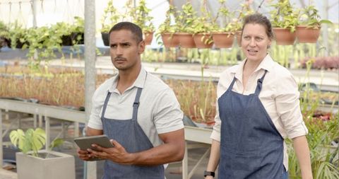 Coworkers collaborating in greenhouse horticulture environment
