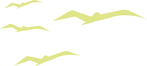 Minimalist Angular Seagull Silhouettes on Transparent Backdrop