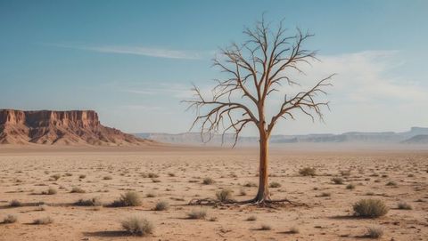 Solitary tree in expansive drought-stricken desert landscape under clear blue sky