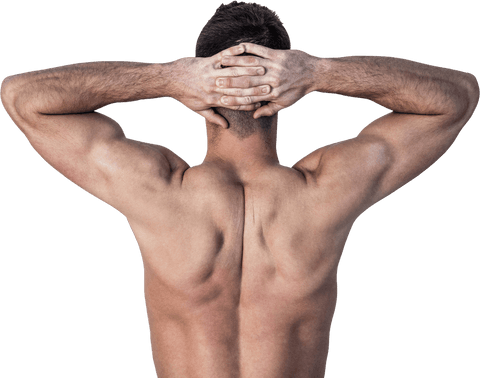 Transparent Muscular Man Flexing Back Strength Visible - Download Free Stock Videos Pikwizard.com