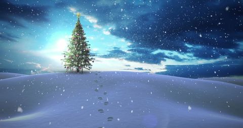 Tranquil Christmas Tree on Snowy Hill at Nightfall