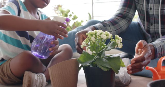 A parent and child garden together indoors, with the child using a spray bottle to water a plant and the parent providing guidance. This image highlights family bonding, teamwork, and educational gardening activities. It can be used to illustrate concepts of nurturing, nature education, and indoor gardening projects.