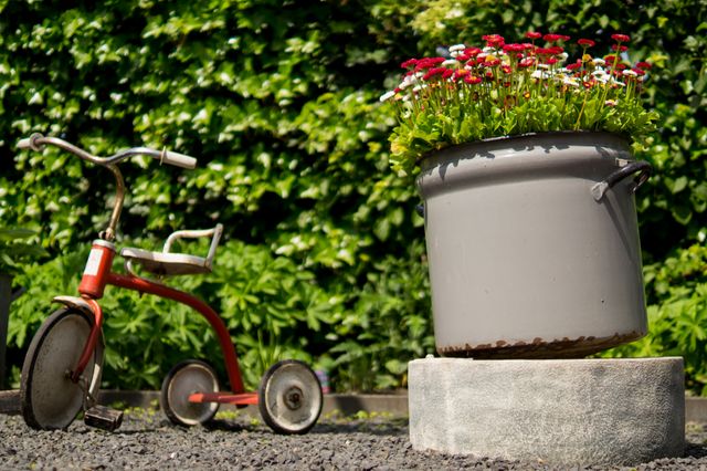 Tricycle pots flowers  - Download Free Stock Photos Pikwizard.com