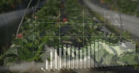 Greenhouse analytics projecting yield data overlay on strawberry rows and crop beds