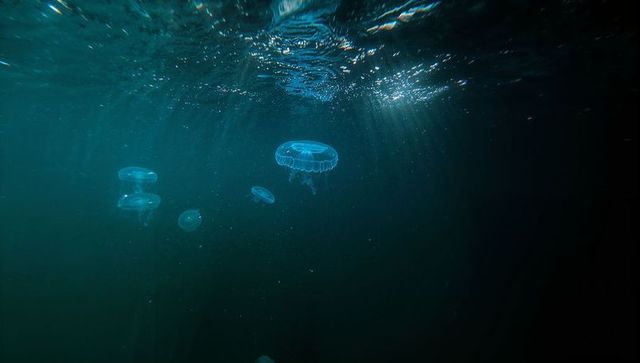 Translucent Jellyfish in Deep Ocean With Sunlight and Particles