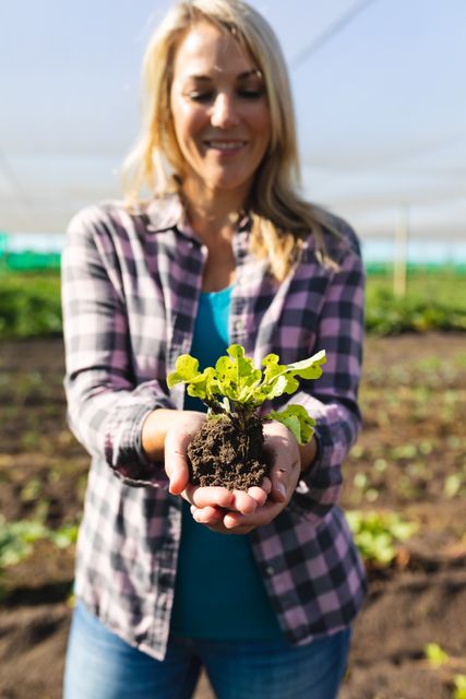 Smiling caucasian mid adult female farmer holding sapling while standing in greenhouse on sunny day. nature, unaltered, healthy, farmer, organic farm and farming concept.