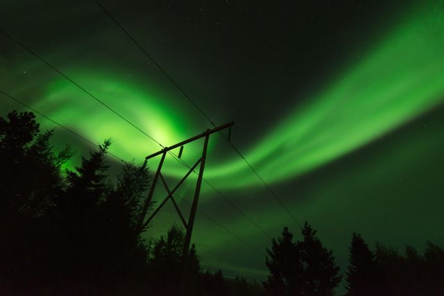 Breathtaking Aurora Borealis illuminating the night sky with vibrant green hues. Power lines and dense forest silhouette against the celestial display. Ideal for use in nature documentaries, travel brochures, and energy conservation campaigns.
