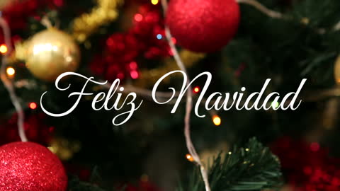 Vibrant Christmas Tree with Glittering Decorations and Lights