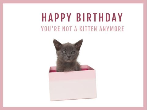 Charming Kitten in Box for Playful Birthday Greeting Card - Download Free Stock Templates Pikwizard.com